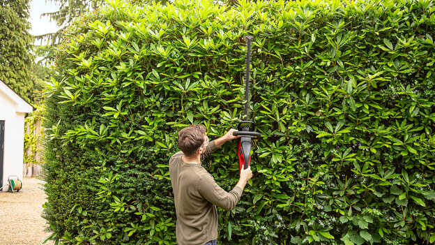 Muž používa akumulátorový plotostih Honda na úpravu živého plota v záhrade.